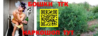 ALPHA PVP Малгобек