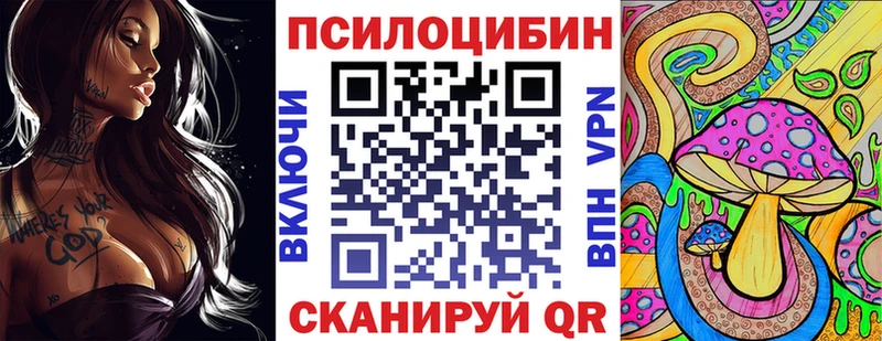 KRAKEN рабочий сайт  купить закладку  Урус-Мартан  Галлюциногенные грибы Psilocybe 
